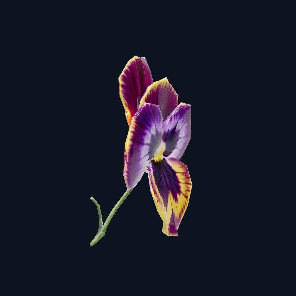 Vibrant Pansy Blossom model pack
